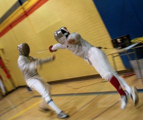 fencing-1434215.jpg